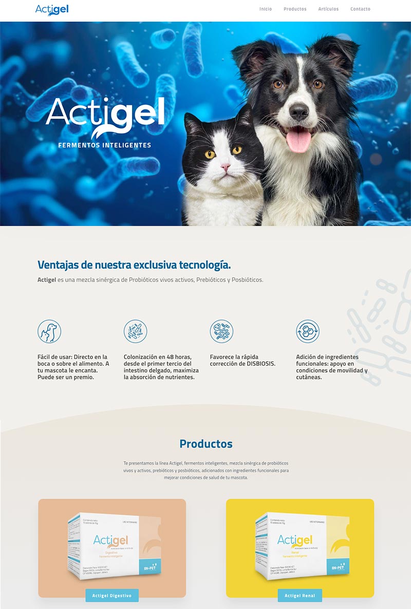 sitio-web-actigel